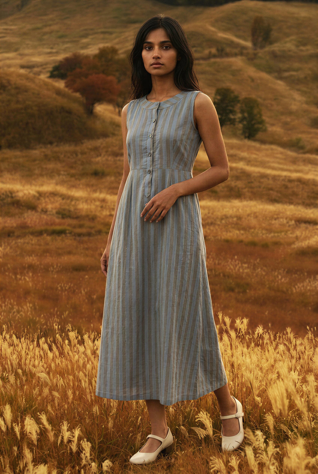 Blue & Beige Striped Dress