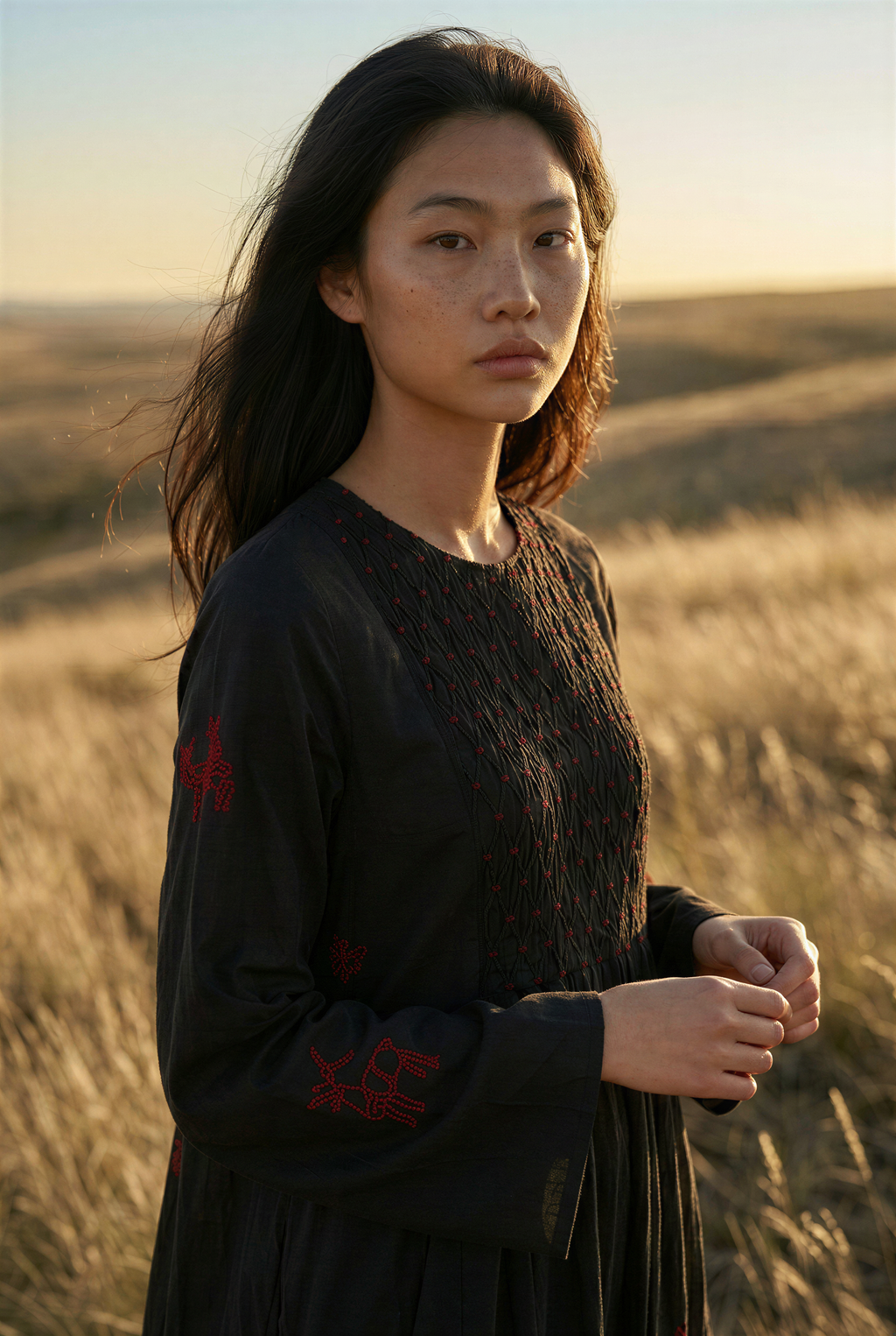 Black Silk Embroidered Dress
