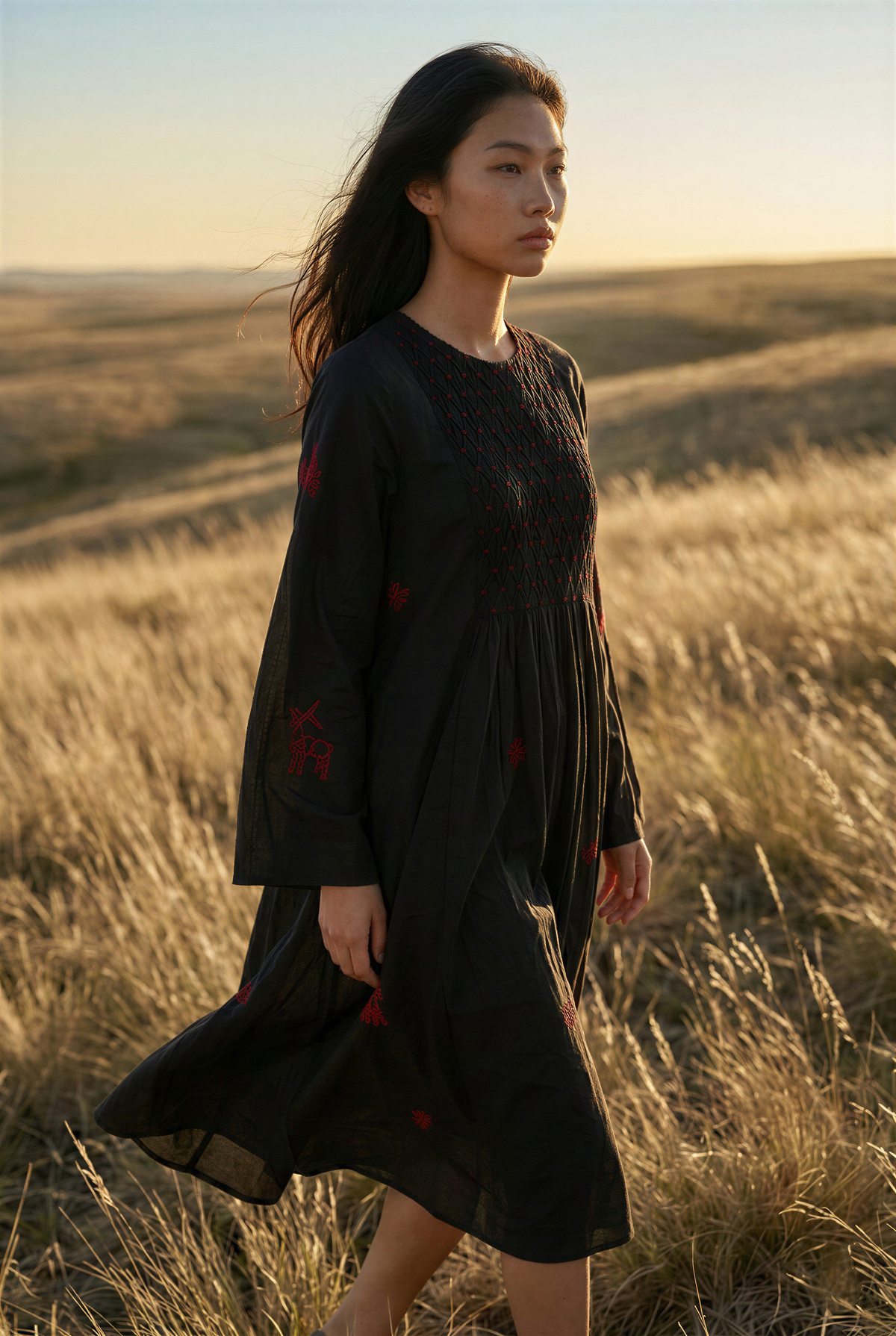 Black Silk Embroidered Dress